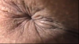 Closeup Assholes Anus Compilation 6